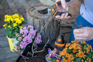 halloween witchs fairy garden diy cut brances for trees 26 1599666930 1599666930