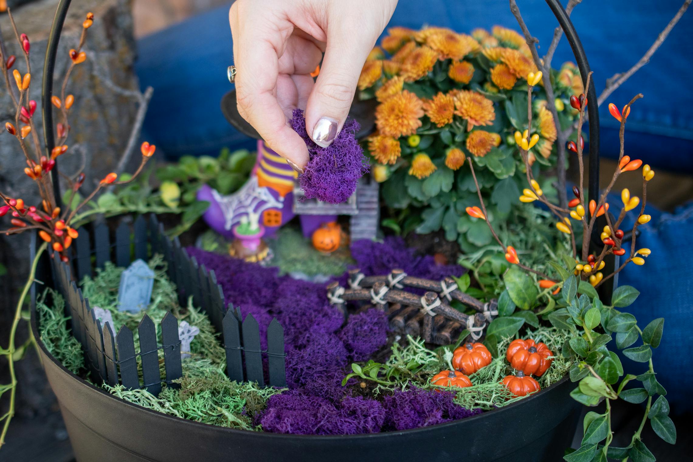 Purple moss being placed in a Halloween-themed Fairy Garden.
