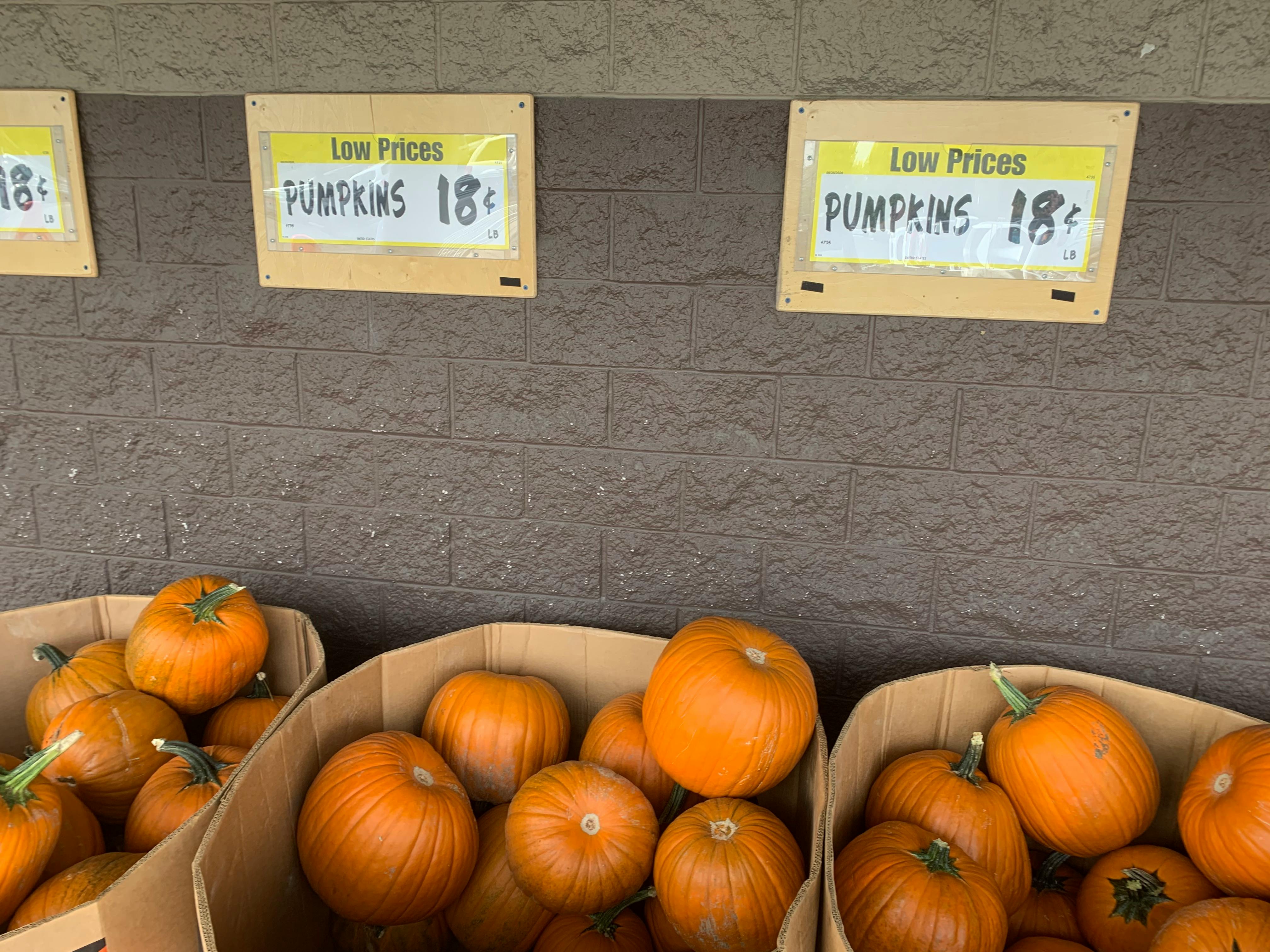 Here Are the Best Prices on Pumpkins (We Checked) The Krazy Coupon Lady