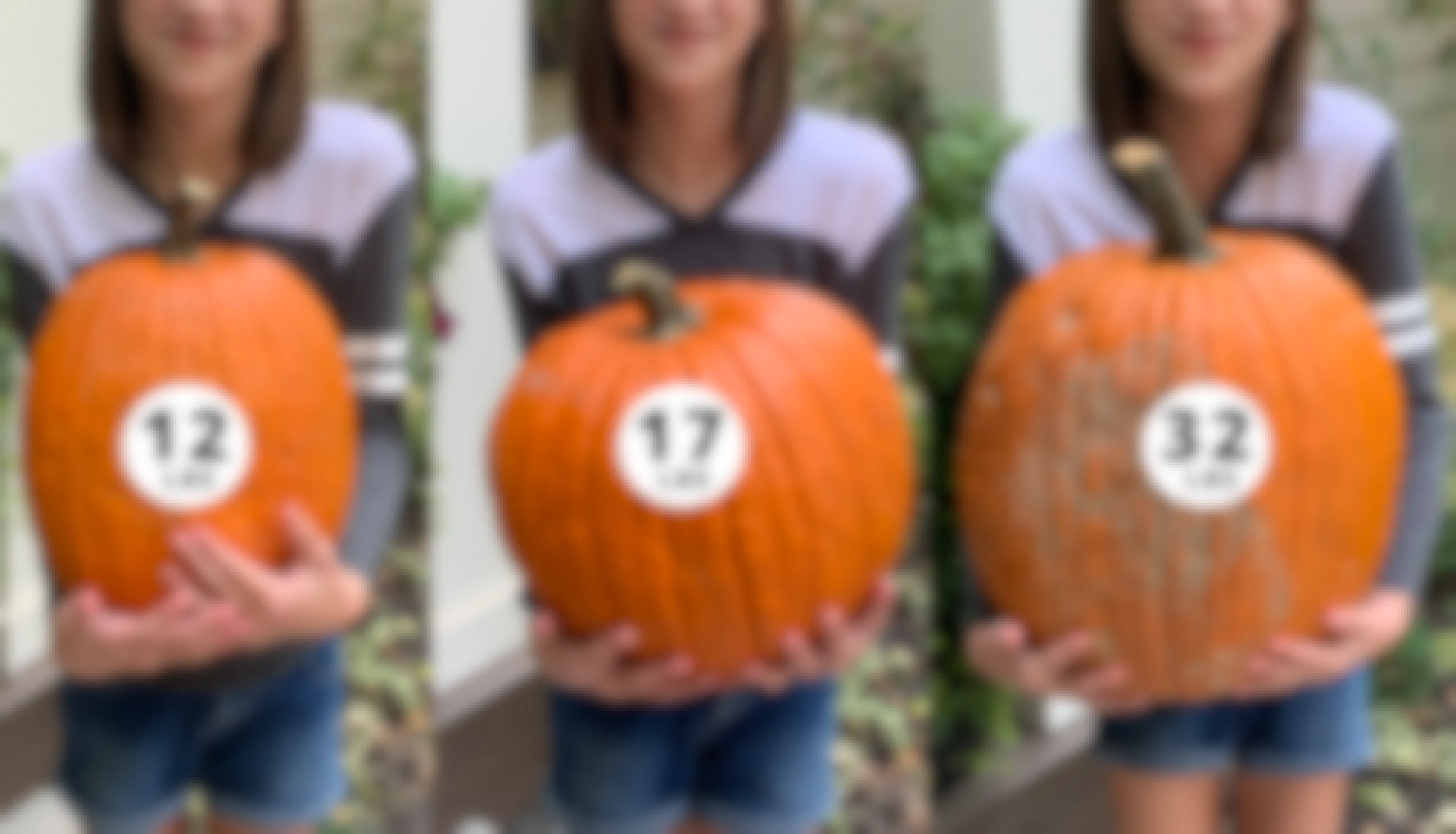 Three side-by-side images of a young girl holding pumpkins that get progressively larger, the first one 12lbs, the second 17lbs, and the third 32lbs.