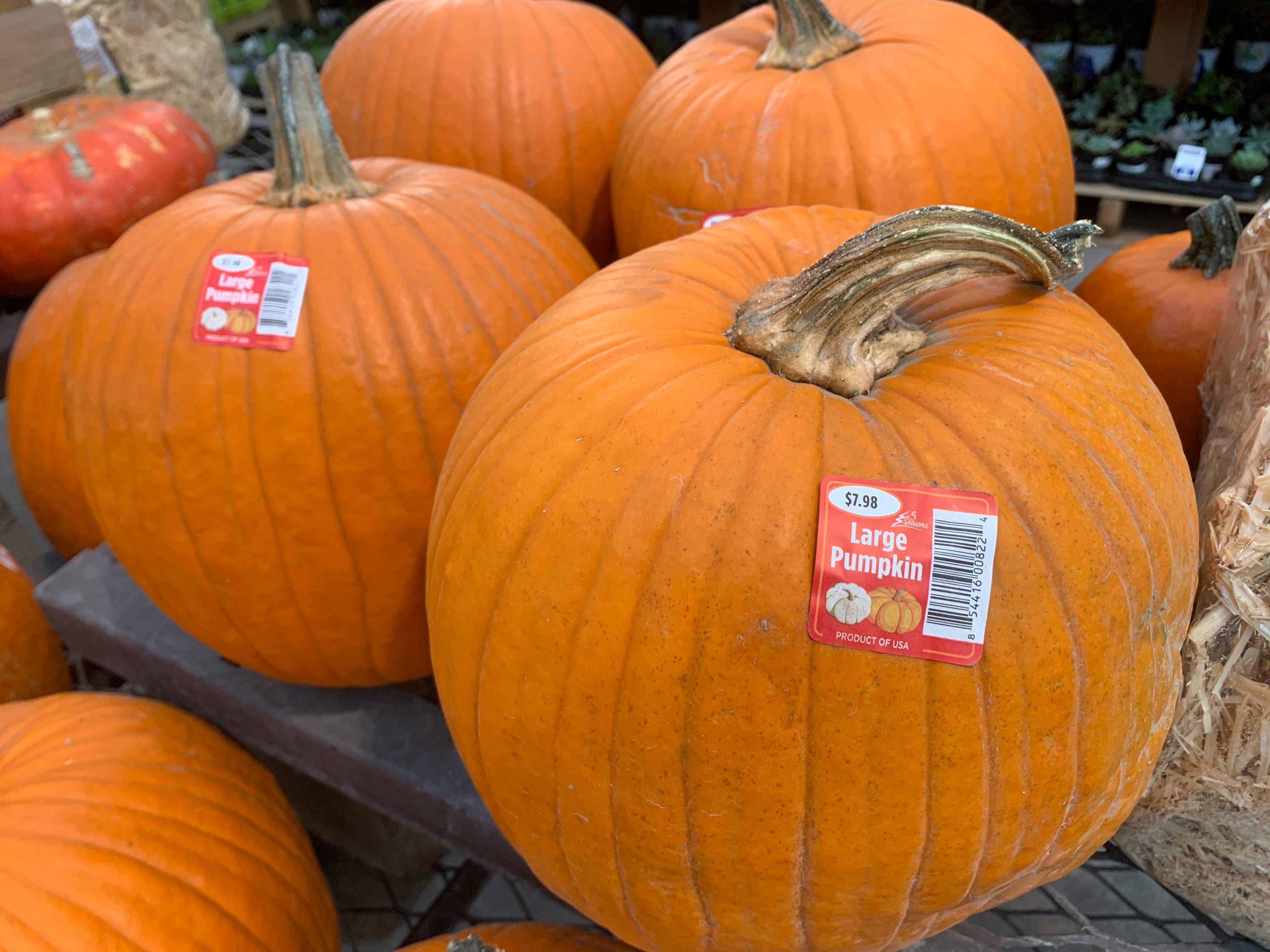 Here Are the Best Prices on Pumpkins (We Checked) The Krazy Coupon Lady