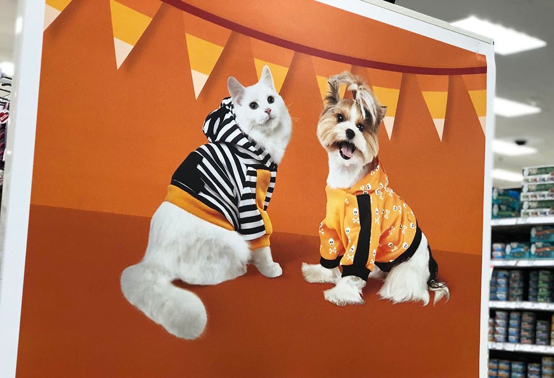 rainbow corn toy target