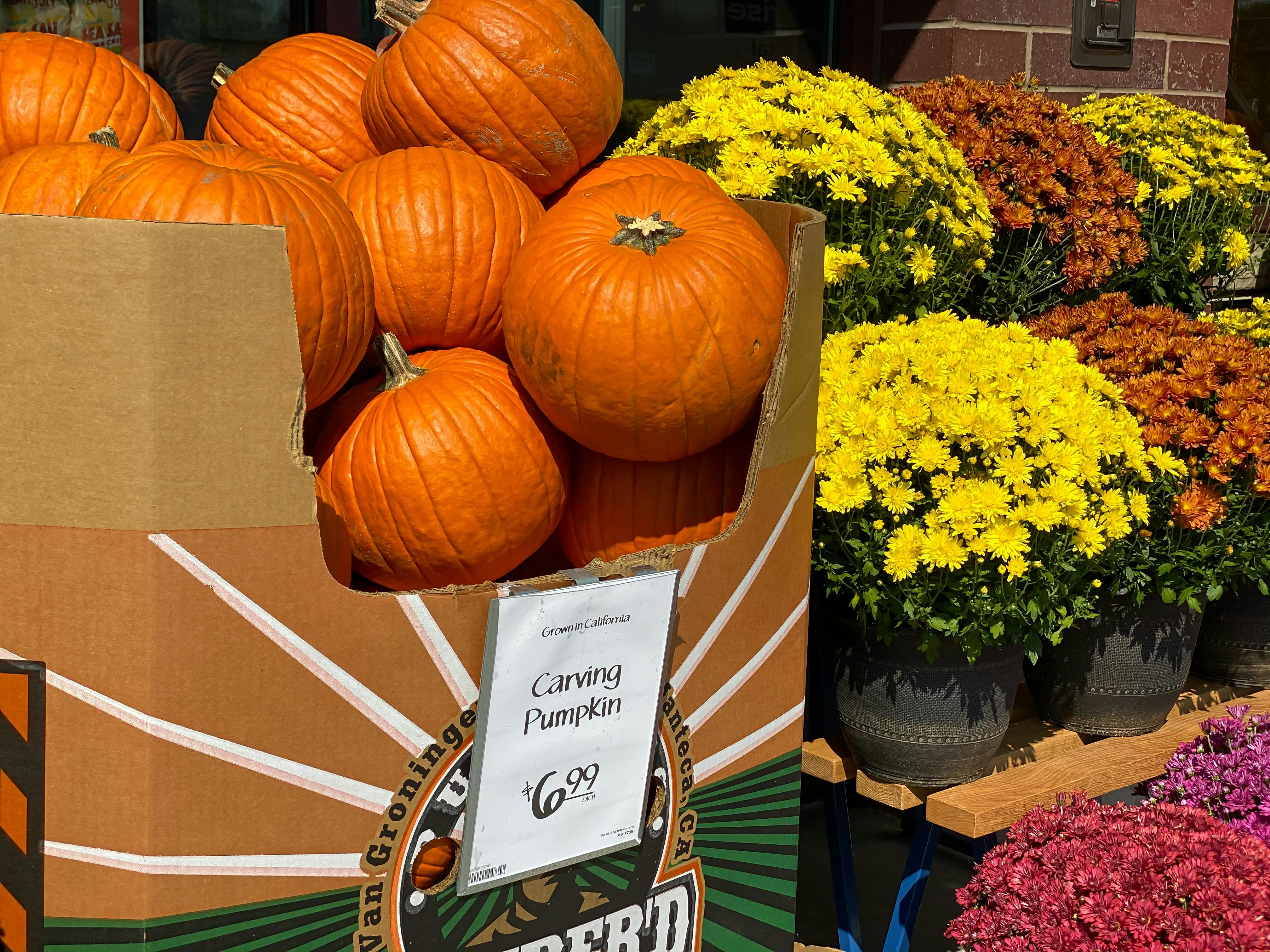 Here Are the Best Prices on Pumpkins (We Checked) The Krazy Coupon Lady