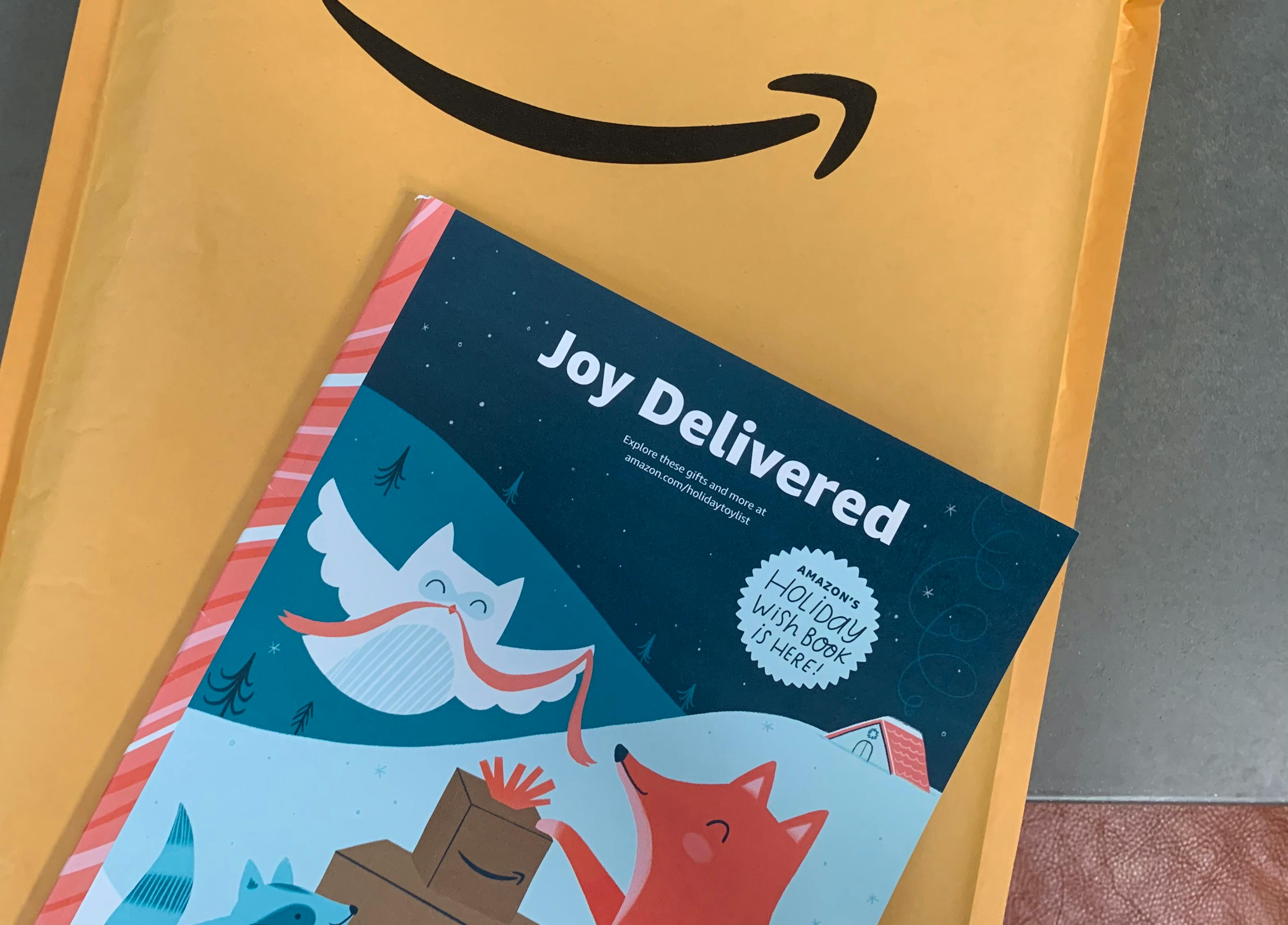 amazon holiday toy book