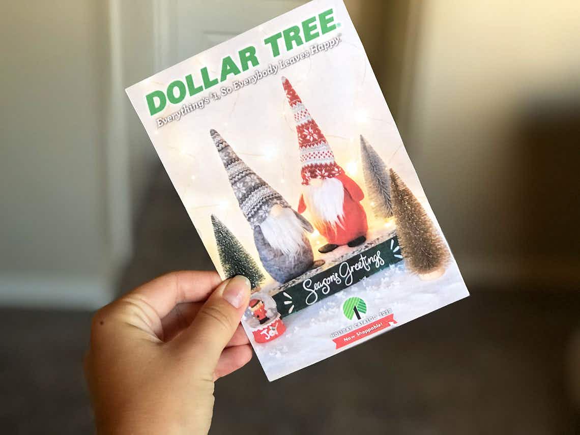 a hand holding the dollar tree black friday holiday catalog