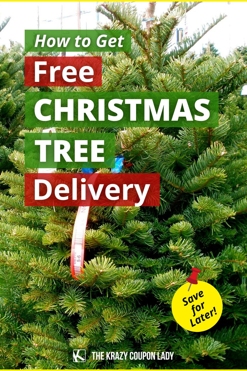 Don't Pay for Christmas Tree Delivery from Lowe's—or Anyone Else