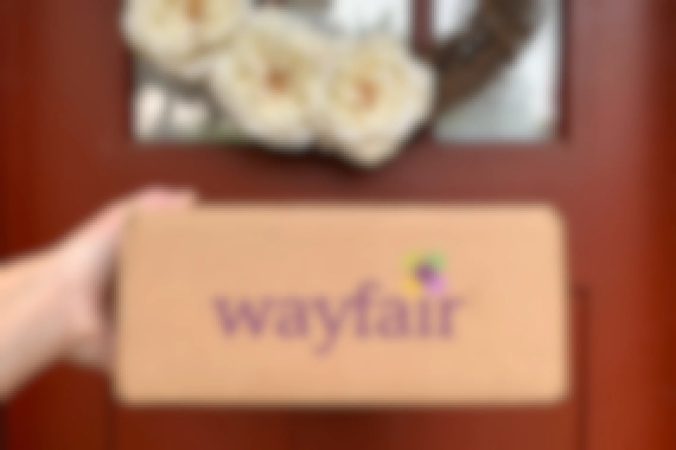 A person holding up a wayfair box in front of a front door