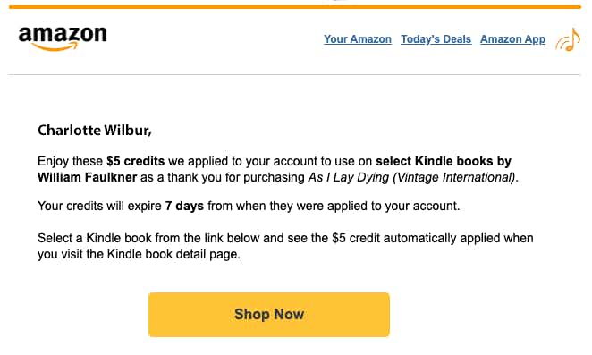 Amazon Kindle credit book screenshot