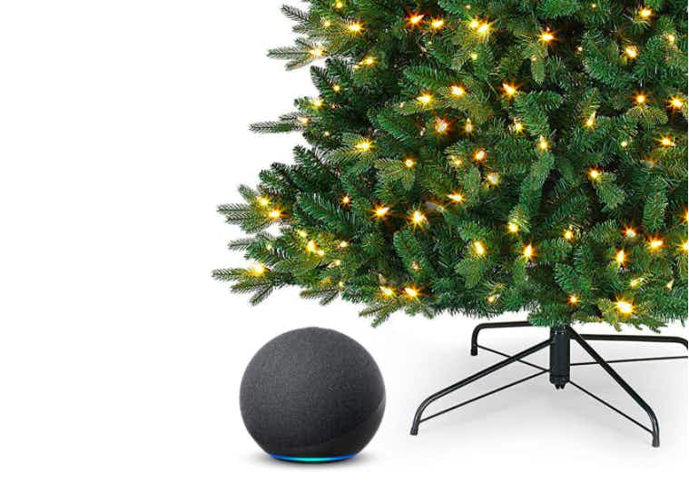 alexa device under a Christmas tree