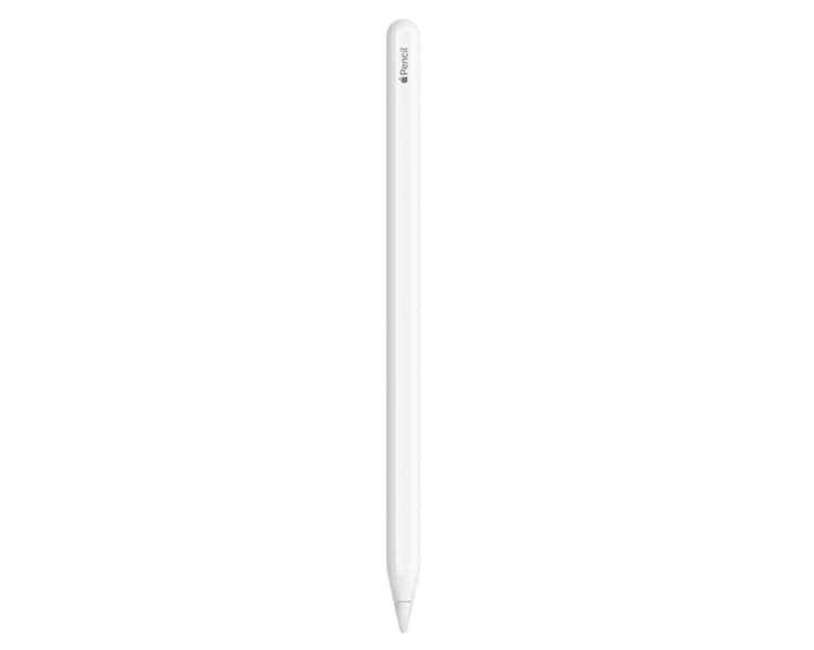 The Apple pencil (2nd generation) for iPad