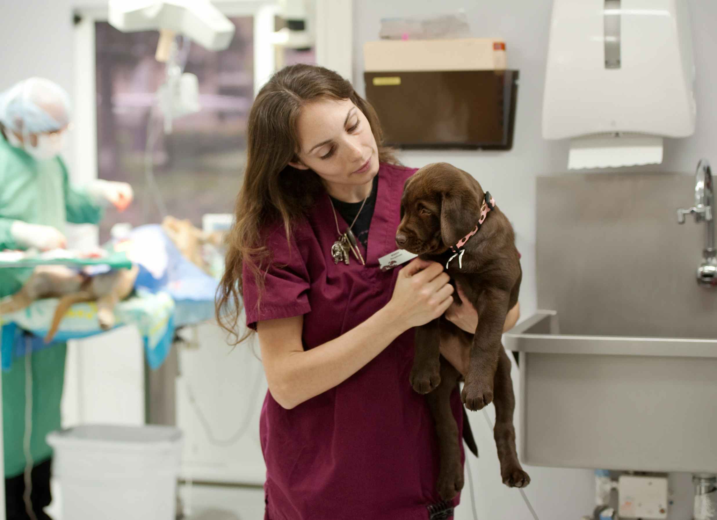 A vet walking through the exam room holding a puppy