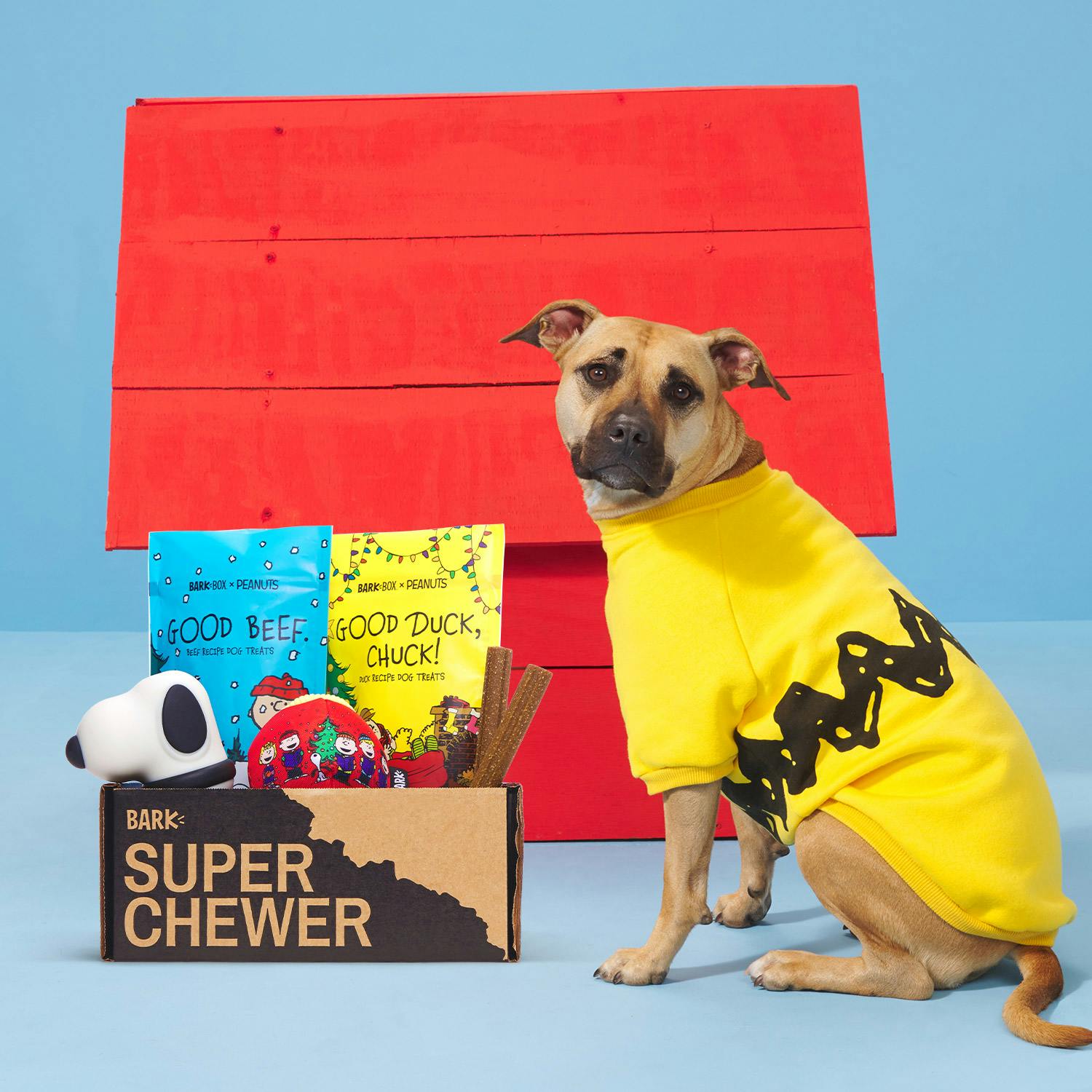 super chewer snoopy