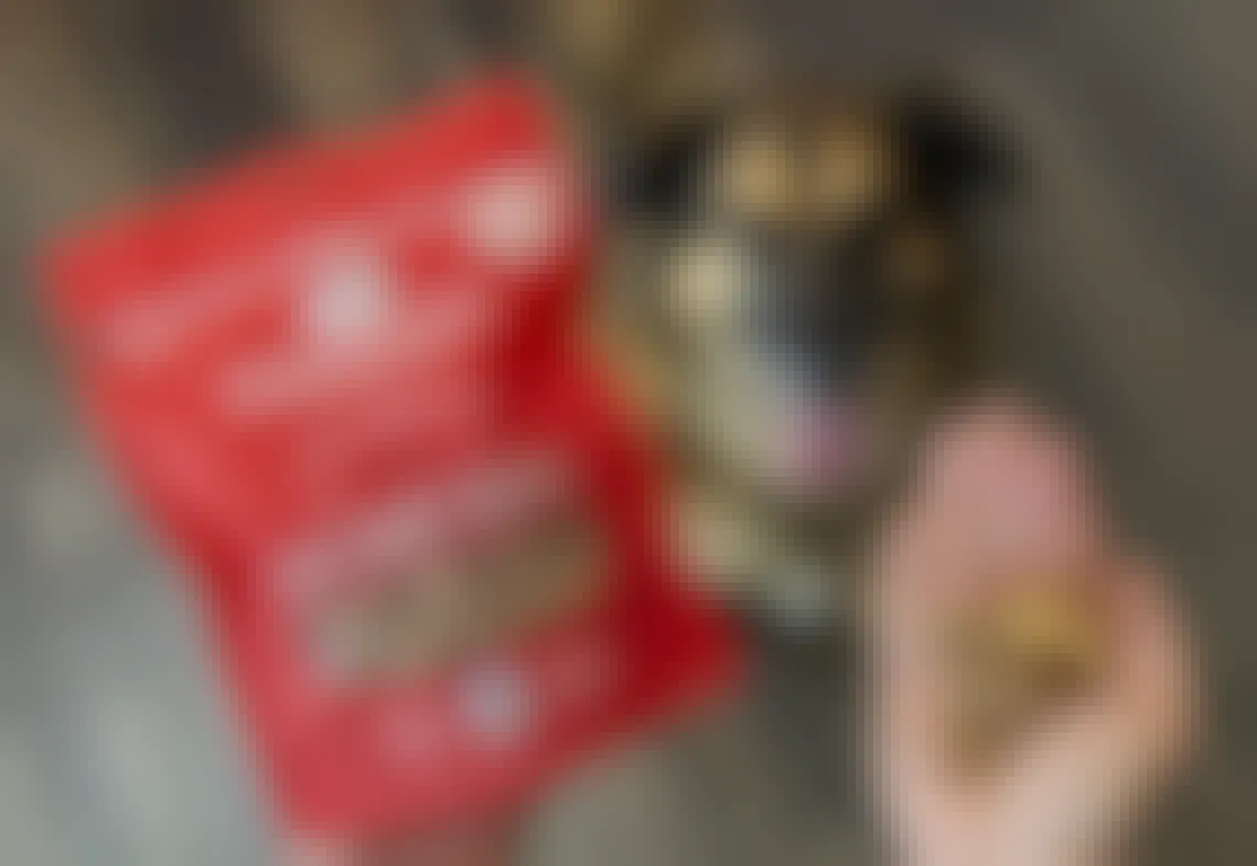 A person holding a bag of Stella & Chewy's dog treats in one hand and a handful of treats from the bag in the other hand, above a dog that is sitting and looking up toward the treats.