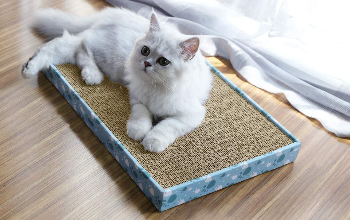 Cat Litter Coupons The Krazy Coupon Lady