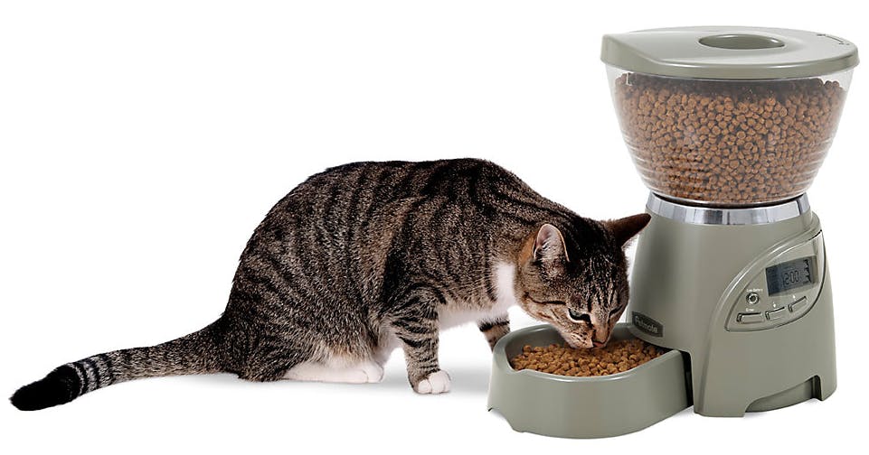 petsmart pet feeder