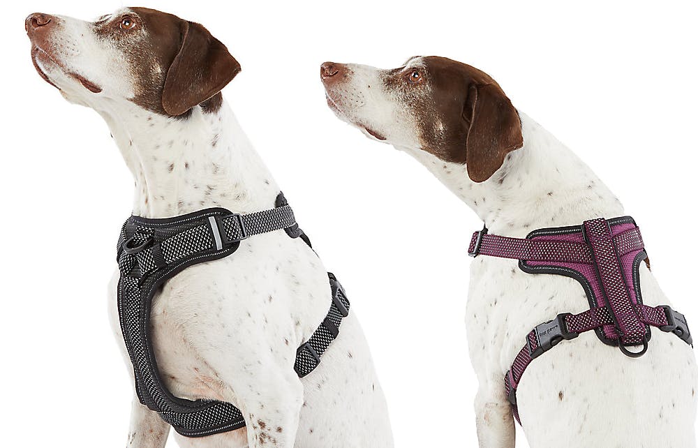 top paw ultra reflective harness