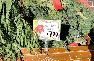 trader joes fresh wreaths11 1607114554 1607114554 scaled e1607118271140