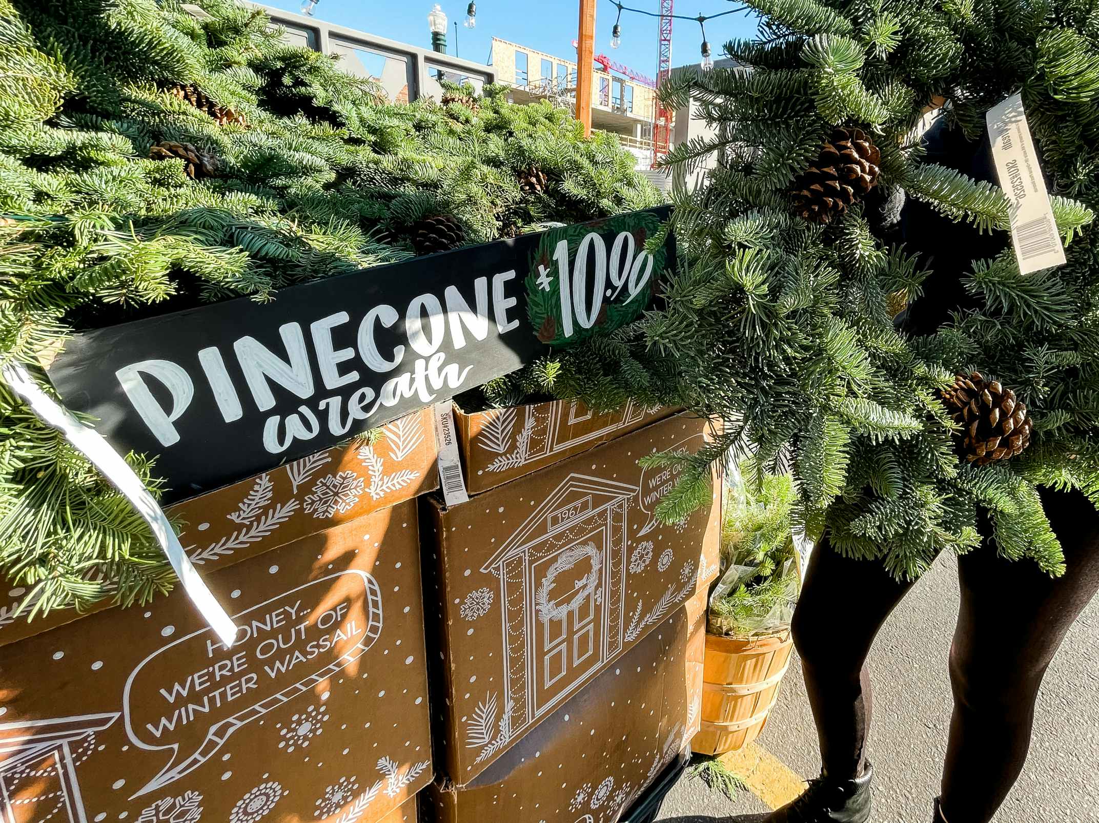 person holding pinecone wreath for $10.99 at trader joes