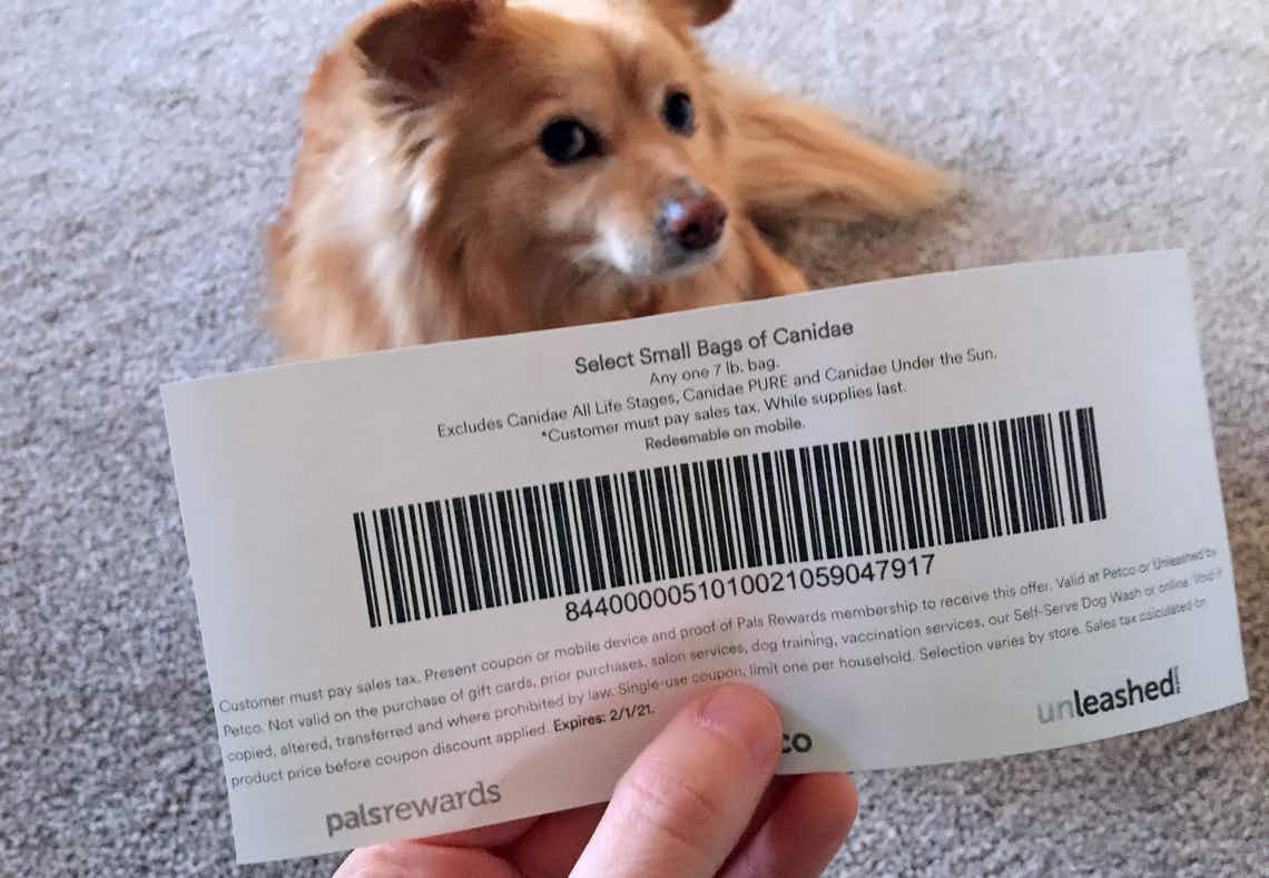 someone holding a Petco coupon in front of a dog