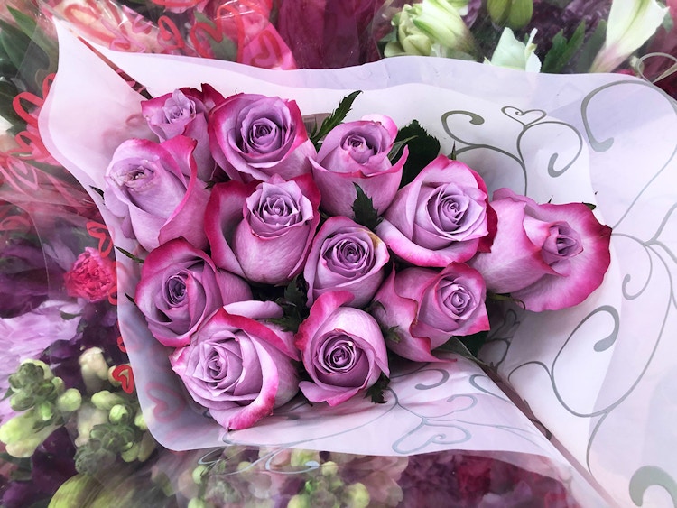 roses