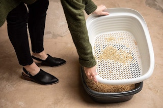 pet-mate-arm-and-hammer-litter-box-amazon