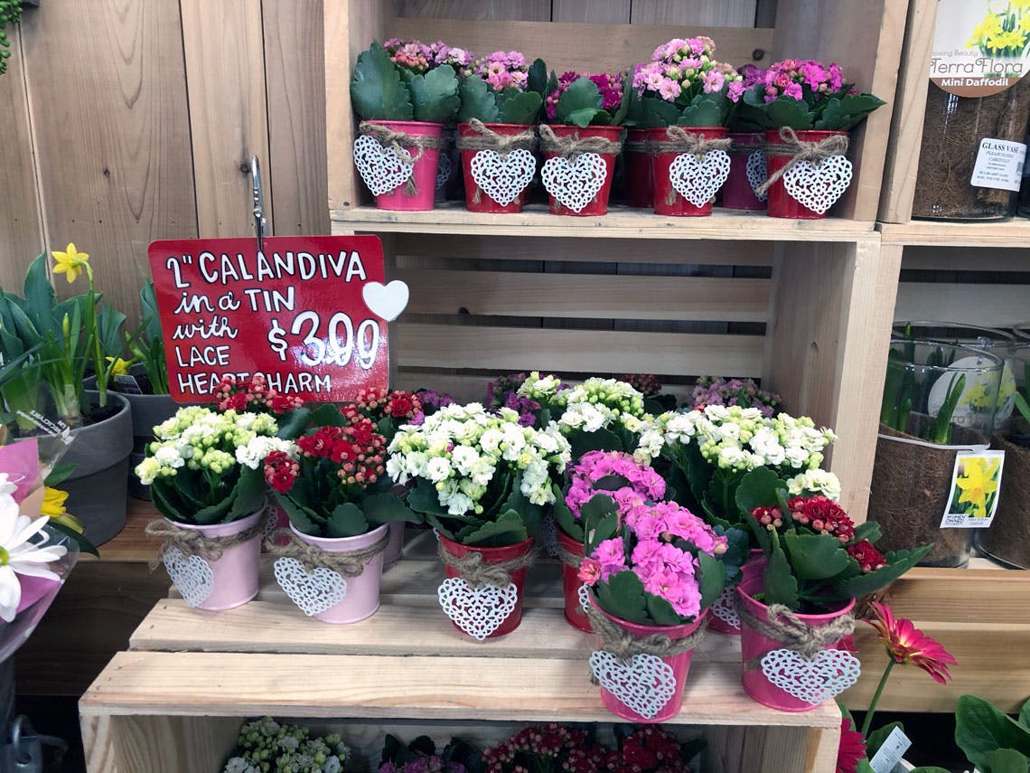 trader-joes-valentine-calandiva