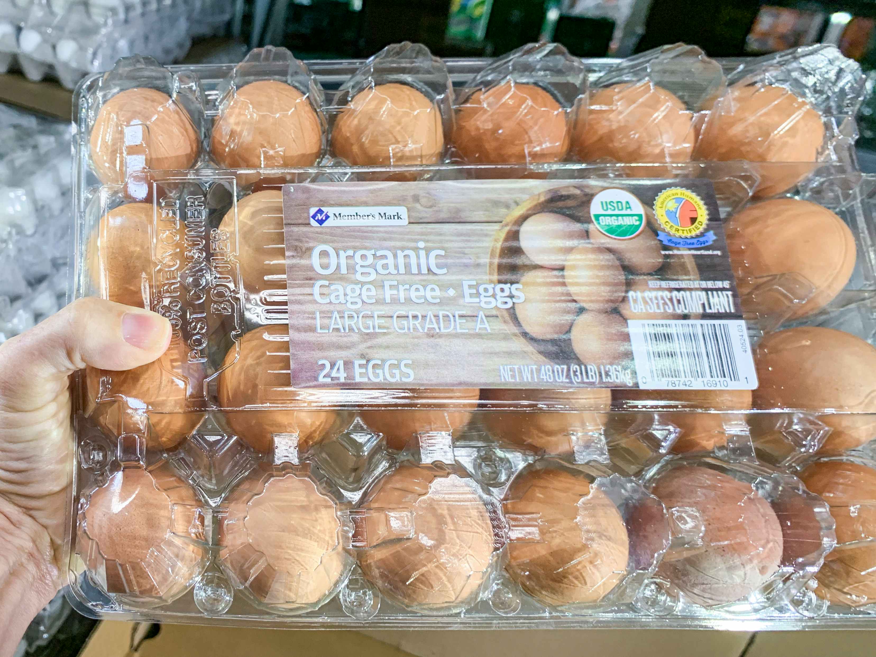 A person holding a carton of two dozen organic eggs at Sam's Club