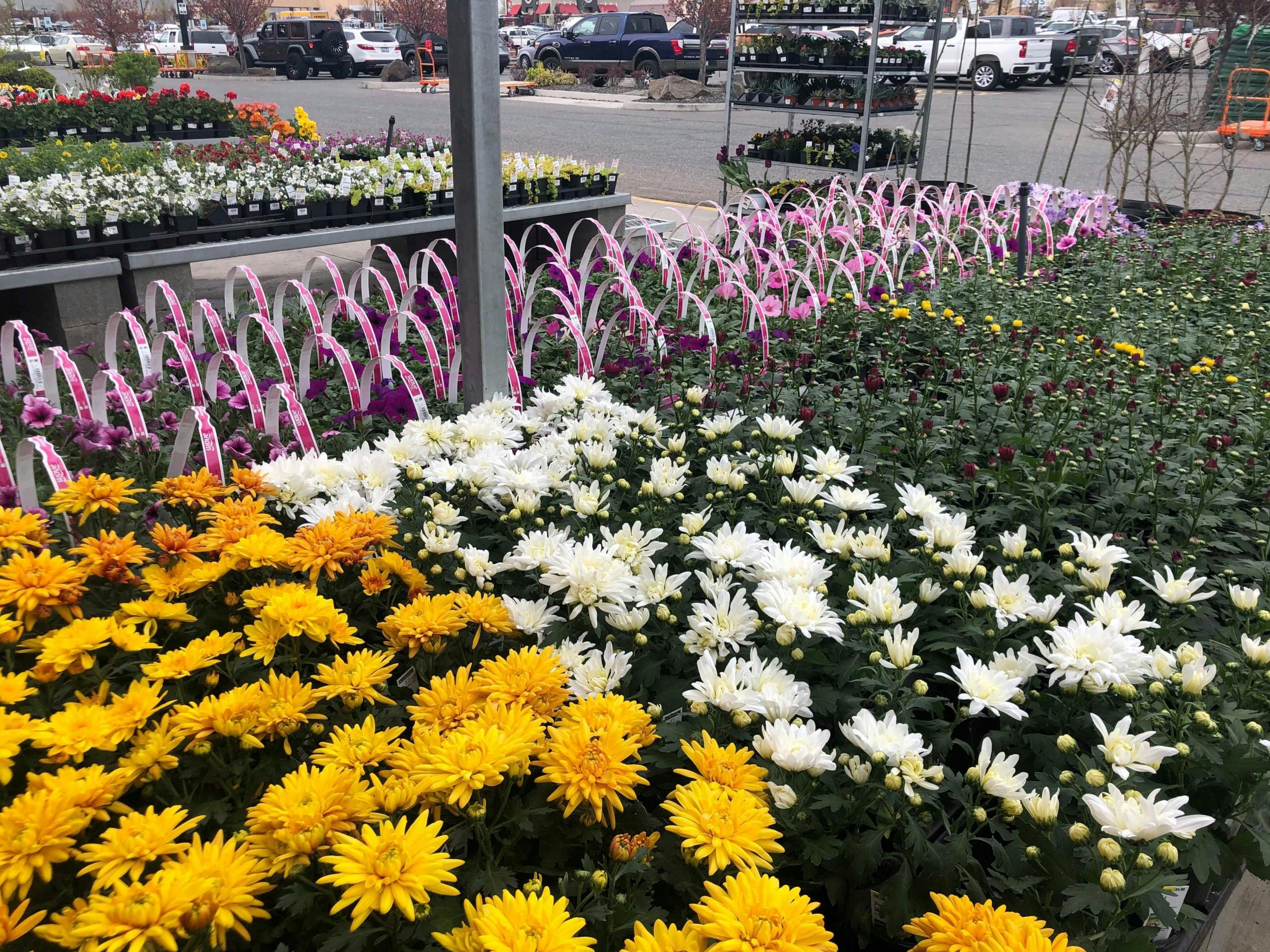 Best Home Depot Spring Black Friday 2023 Deals The Krazy Coupon Lady