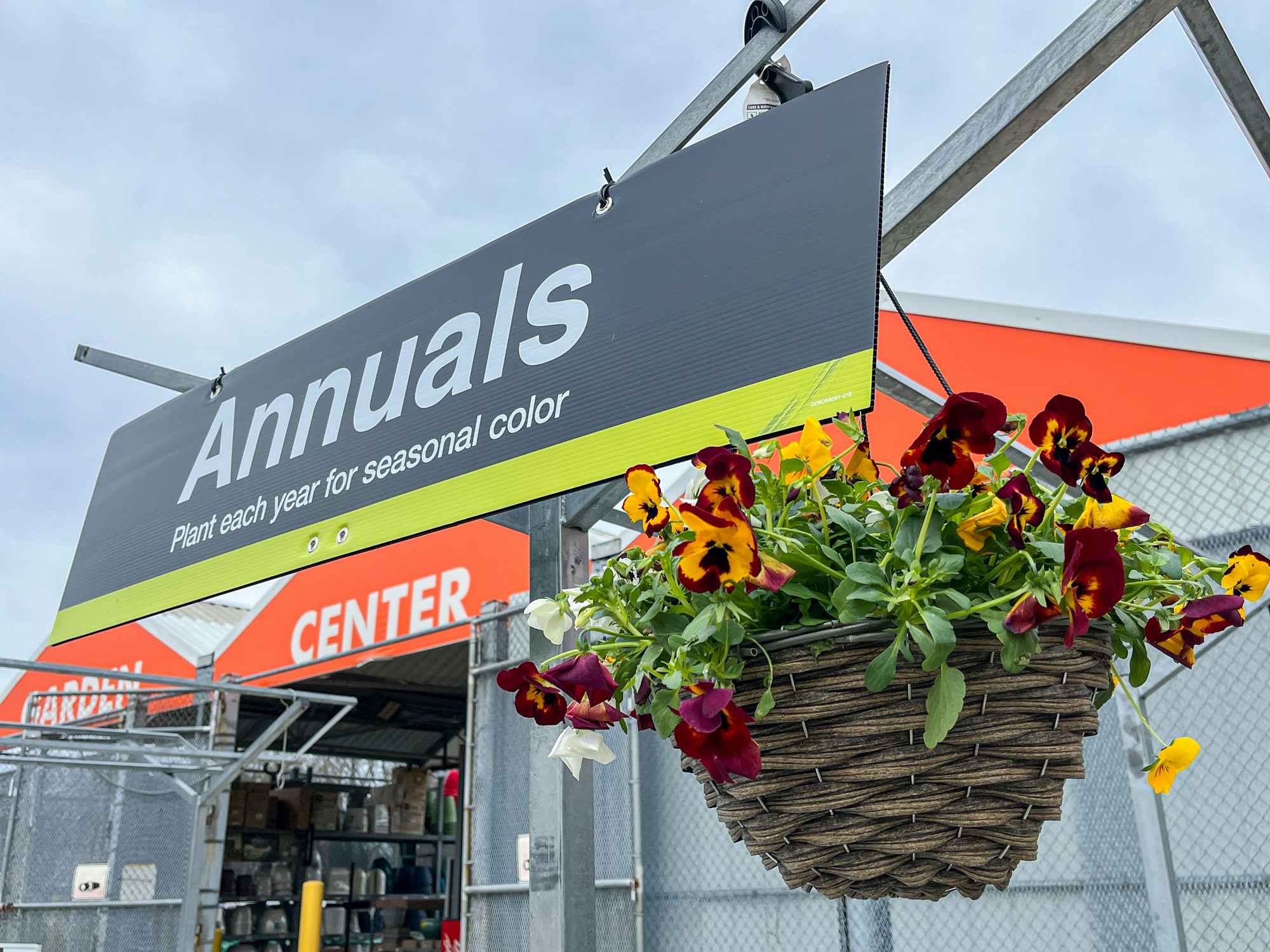 Sweet Deals at the Home Depot Plant and Garden Sale - One Hundred Dollars a  Month