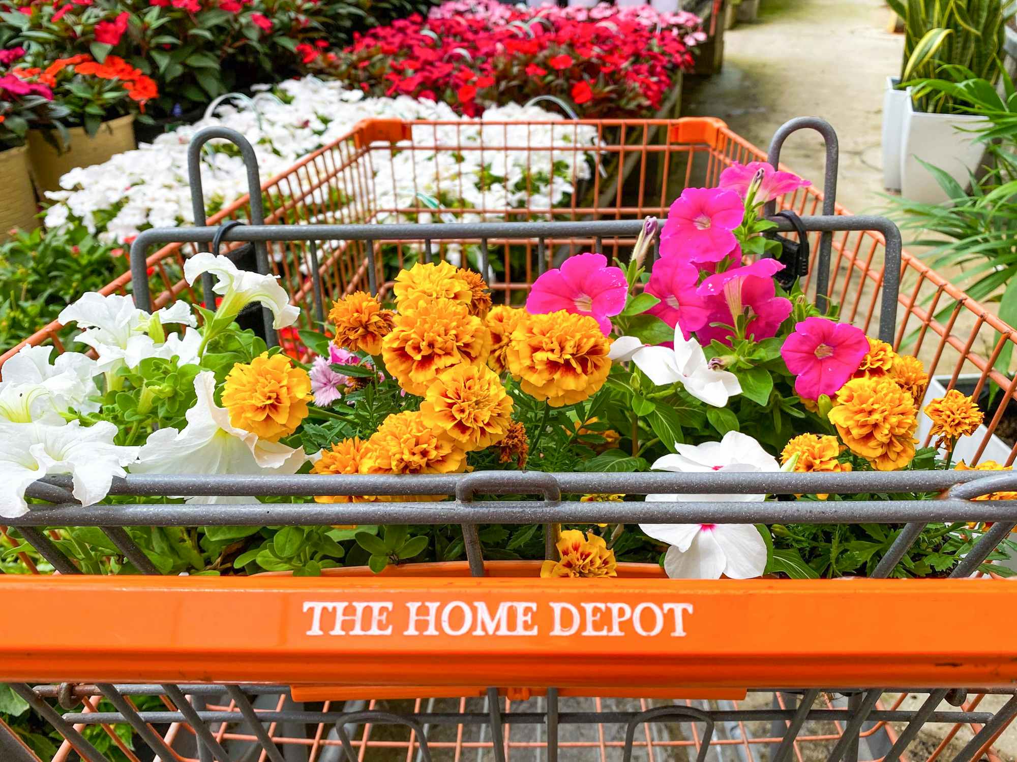 home depot shopping cart with flowers in garden center