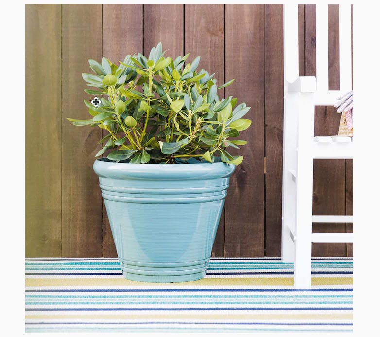 A flower pot with a plant it.