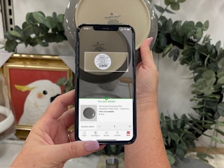 hand holding cellphone scanning plate