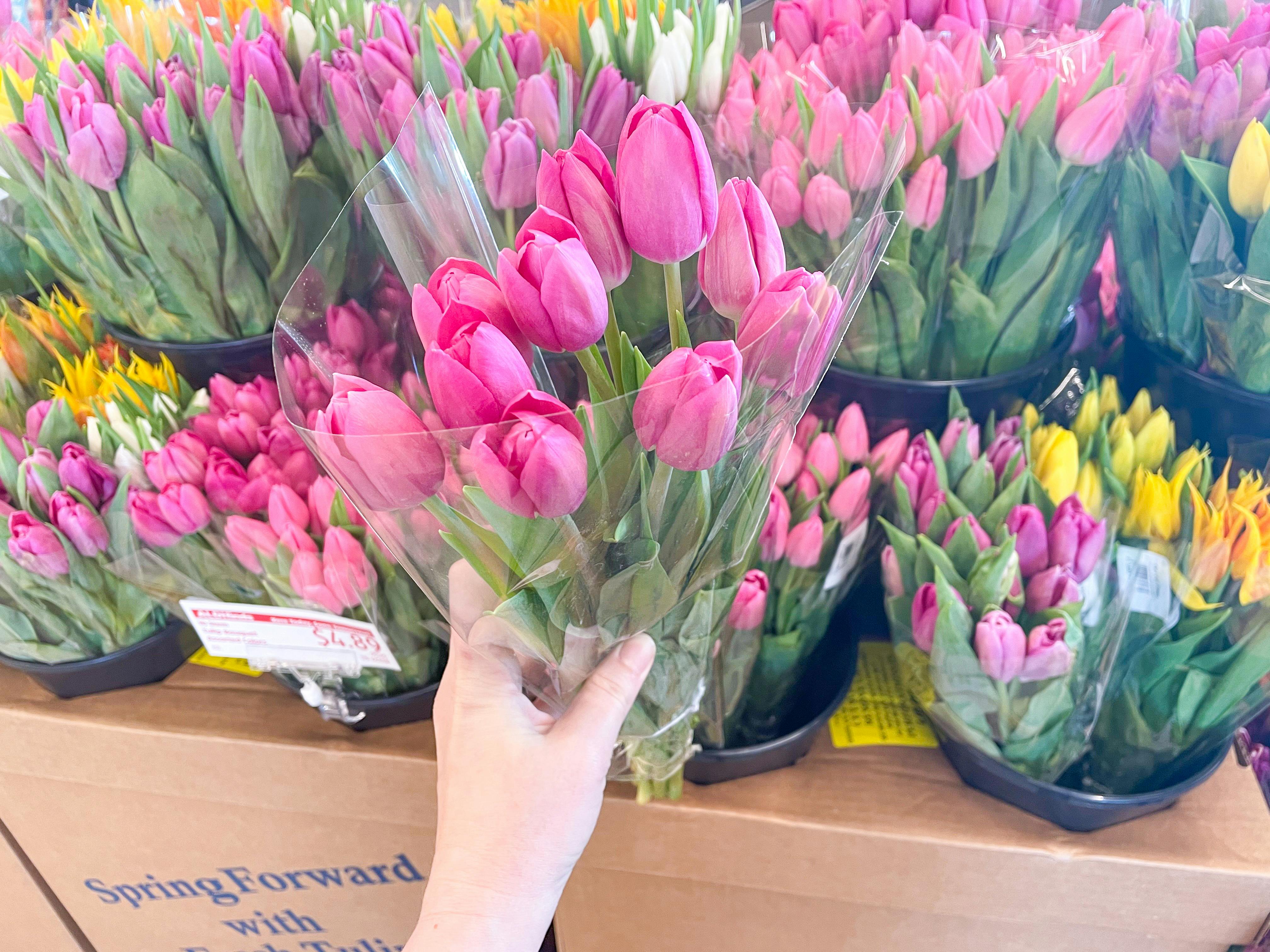 A hand holding up a bunch of pink tulips from Aldi.