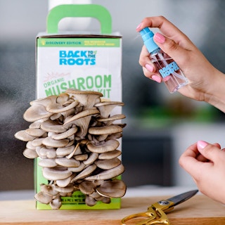 amazon back to roots mushroom 02 1620404065 1620404065
