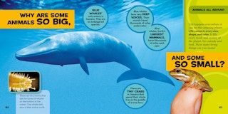 amazon-nationa-geographic-big-book-of-why-02