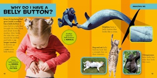 amazon-national-geographic-big-book-of-why-03