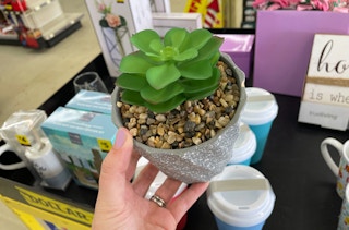 dollar general faux succulent 2021 th 1620998101 1620998101