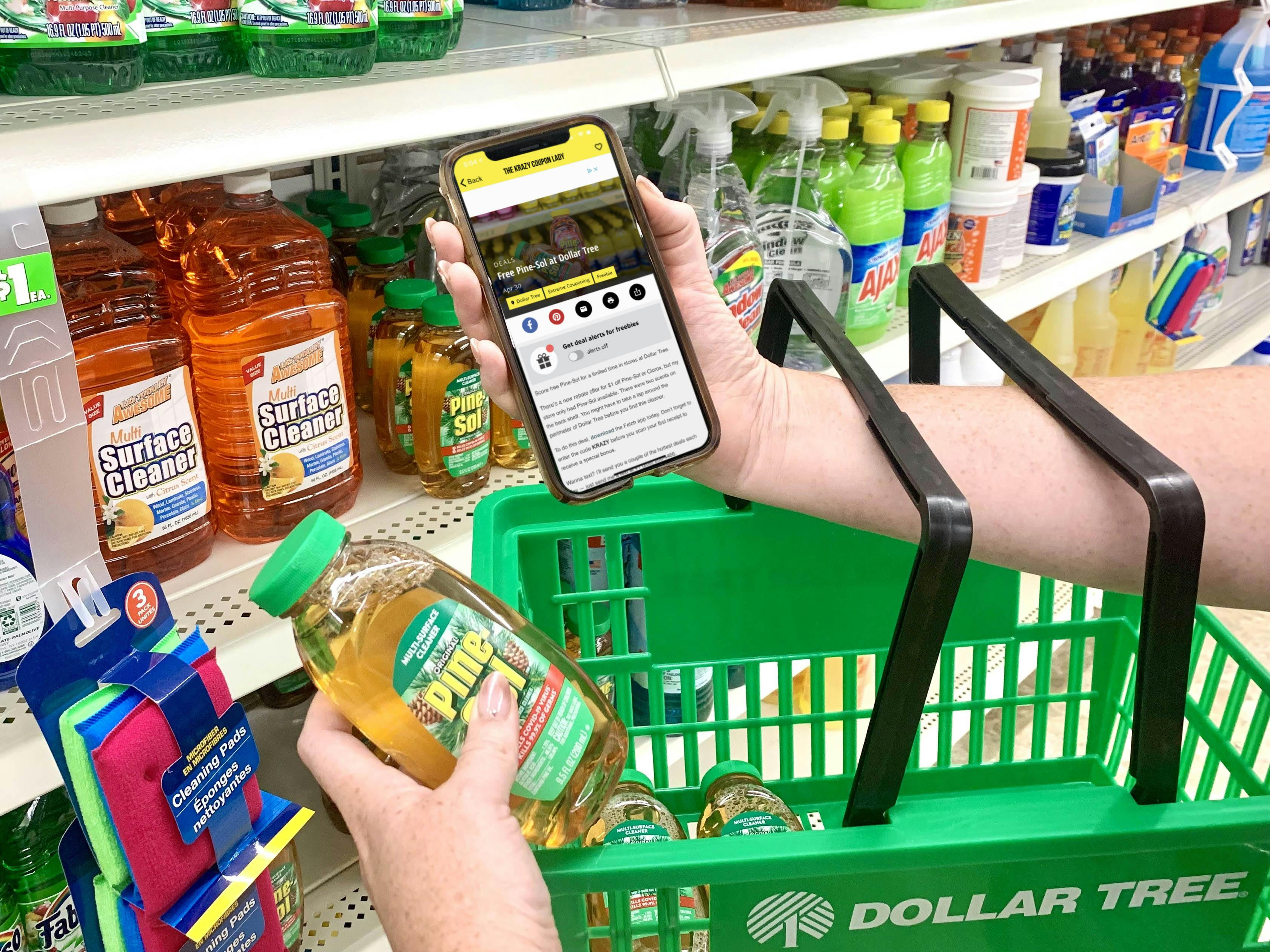 hand holding dollar tree basket with phone and pine sol