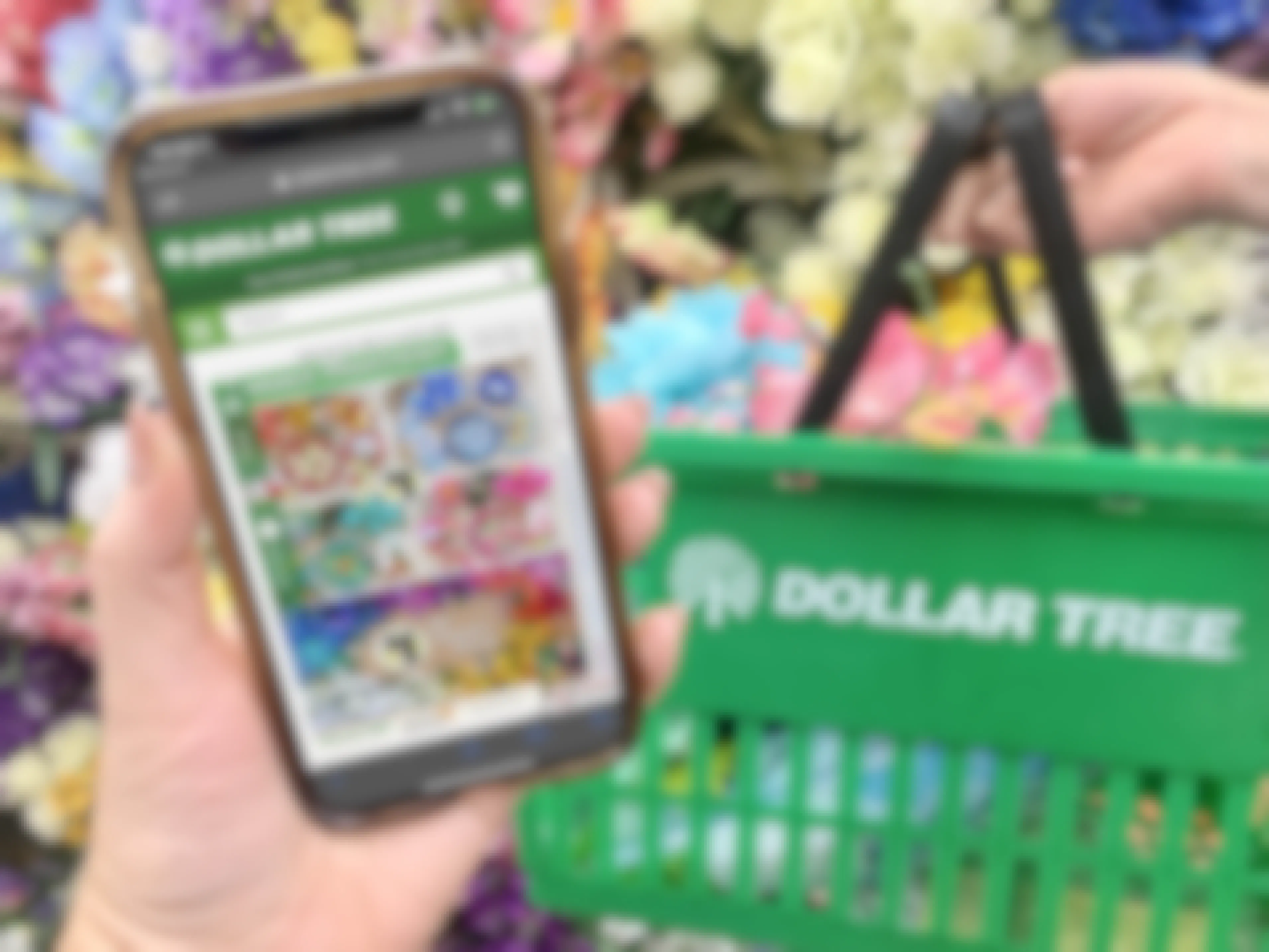 cell phone being held up with dollar tree ad in front of basket and floral display