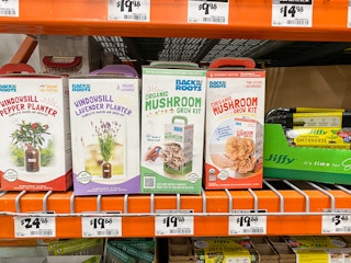 home depot back to the roots kit 2021 1620500131 1620500131