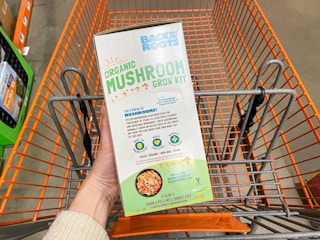 home depot back to the roots kit b 2021 1620500147 1620500147