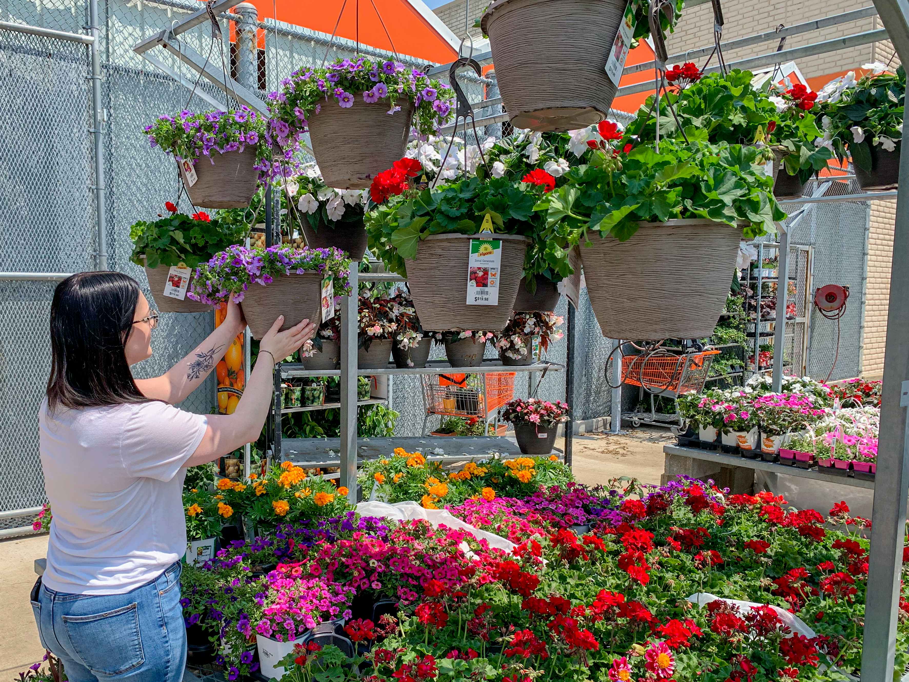 a person reaching for a hanging basket at home depot