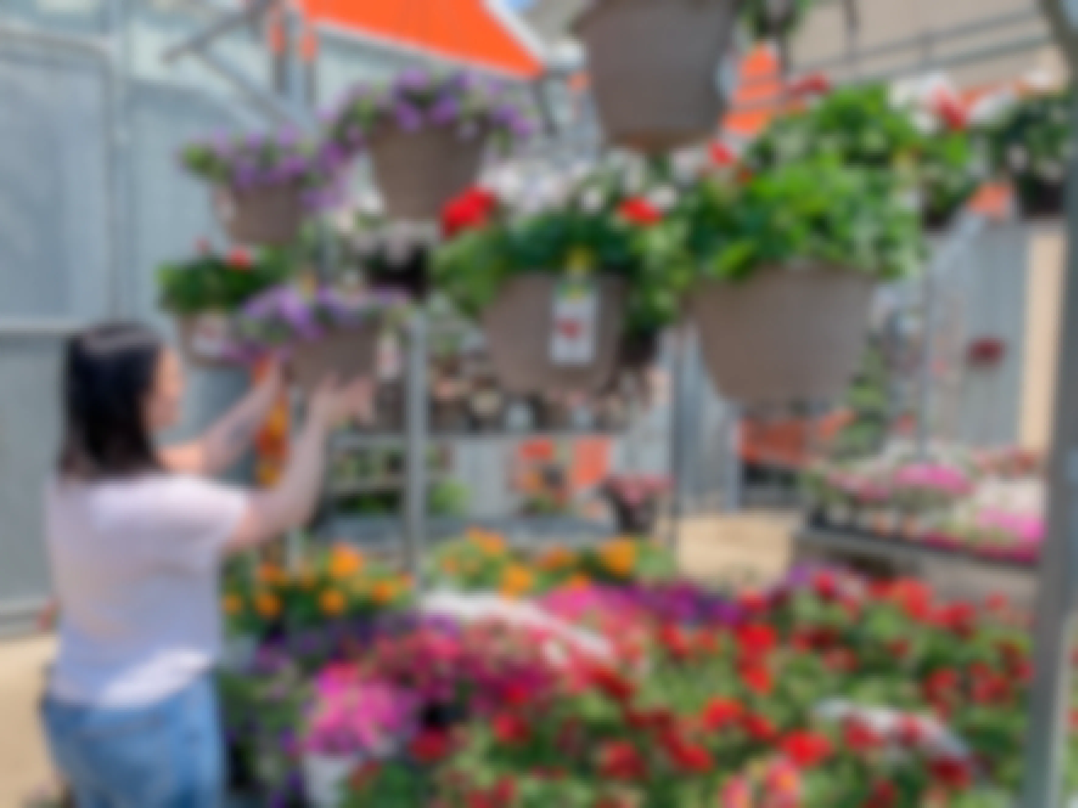 a person reaching for a hanging basket at home depot