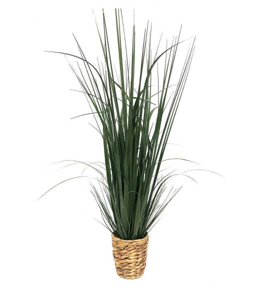 kohls Sonoma Goods For Life Grass Basket Decor stock image 2021
