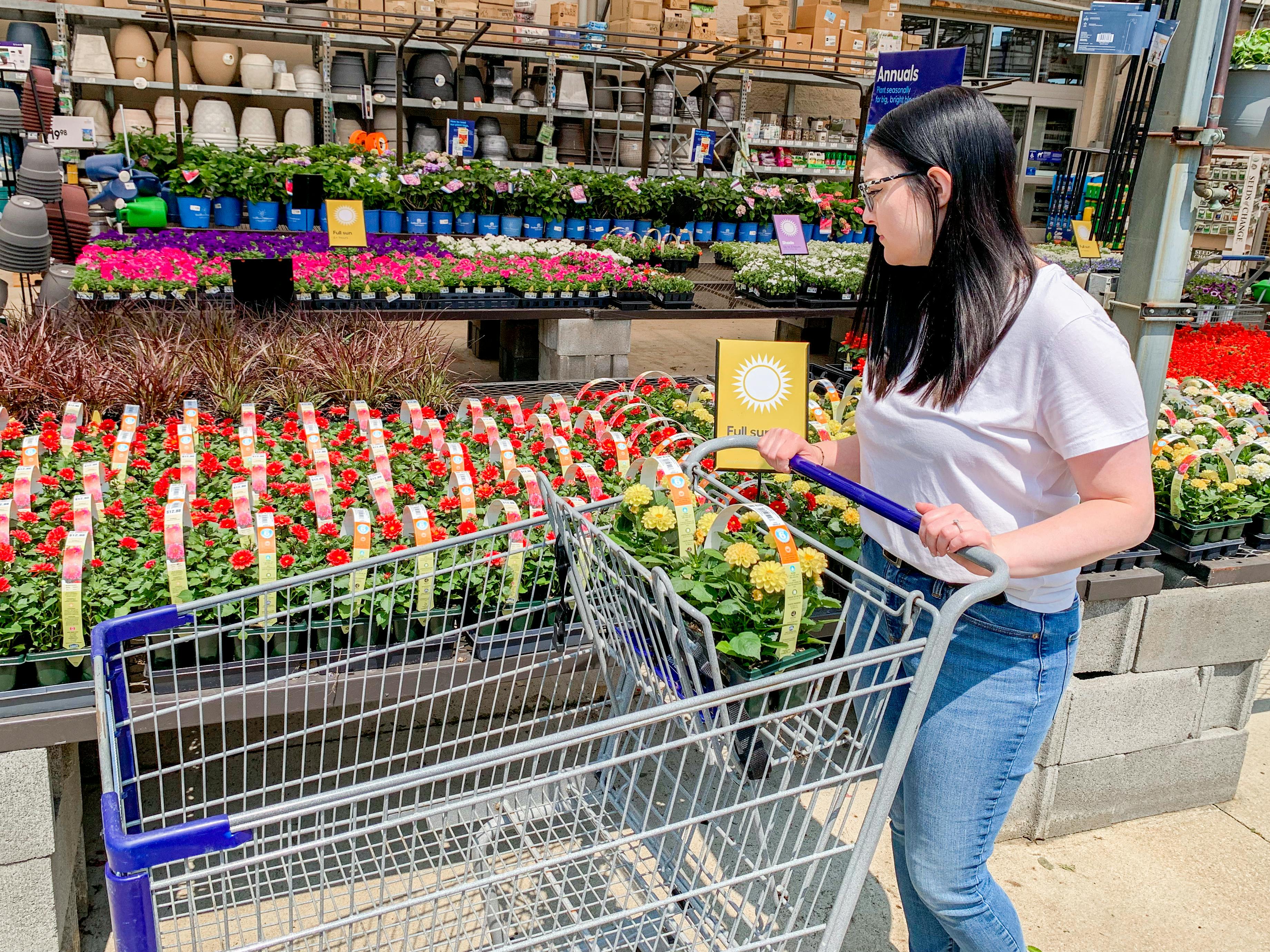 Lowes lawn mower sale memorial online day