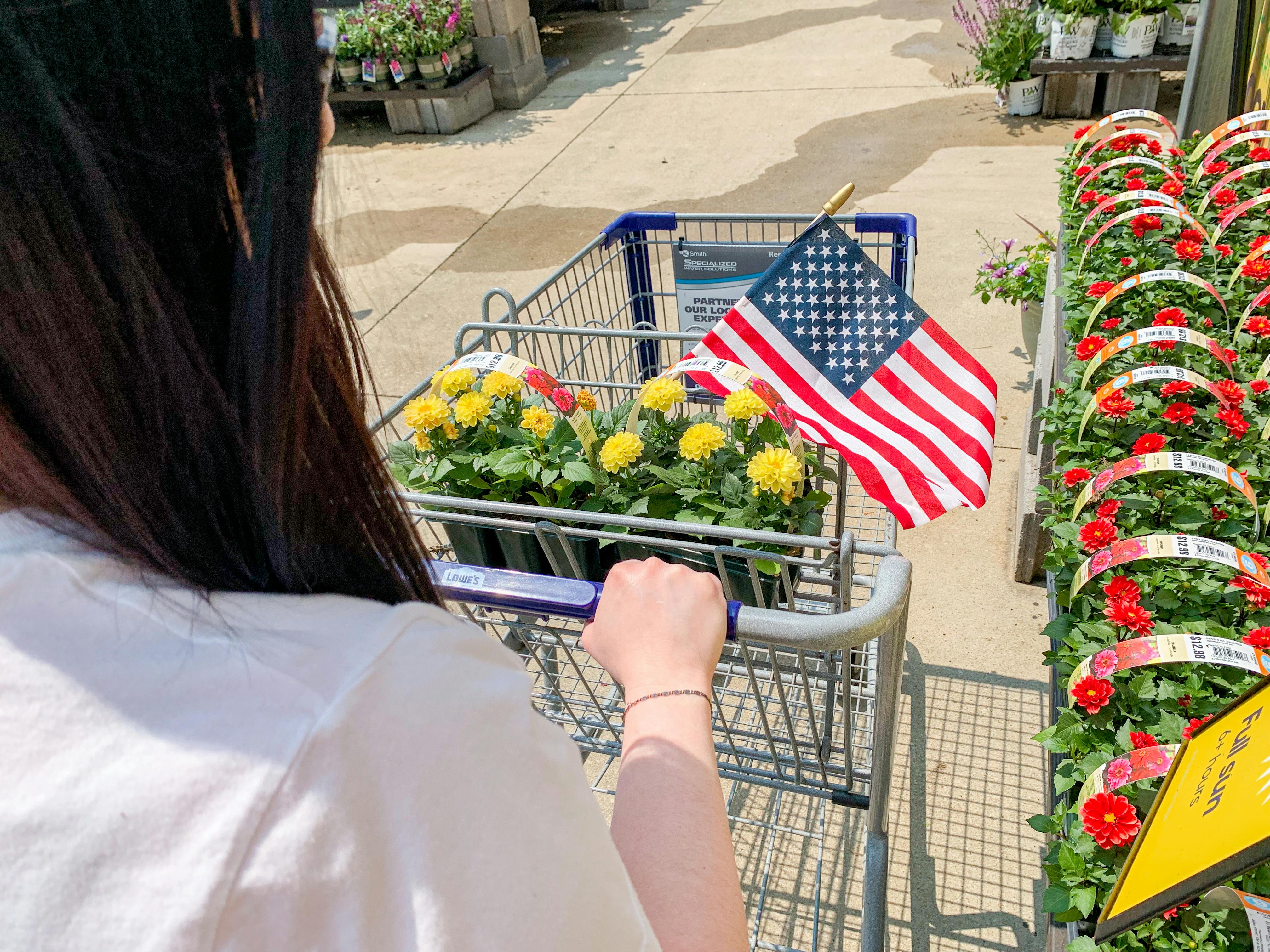 Lawn mower memorial day sale online 2021