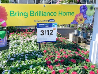 lowes miracle gro brilliant blooms c 2021 1620400213 1620400213