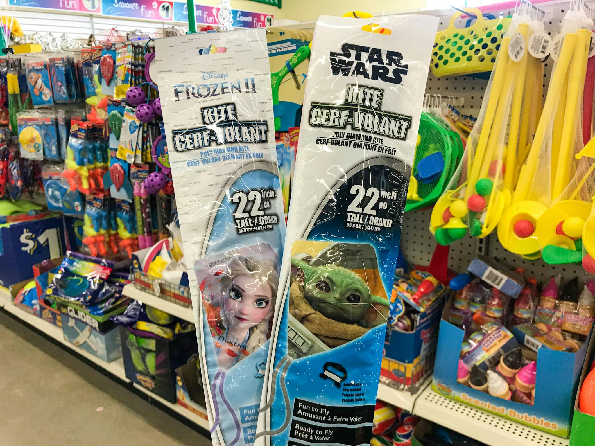 Dollar Tree Coupons June 2021 - The Krazy Coupon Lady