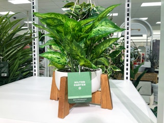 target hilton carter 2021 1621016466 1621016466 scaled