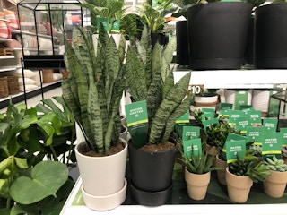 target-hilton-carter-2021-1